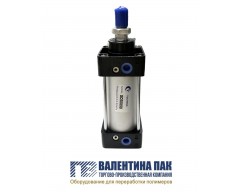 Пневмоцилиндр SC 50х50